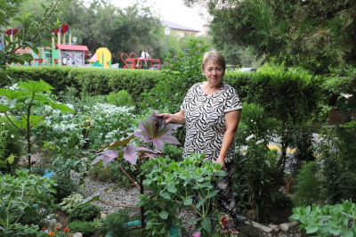 Городские дворы в Талдыкоргане превращают в цветущие сады