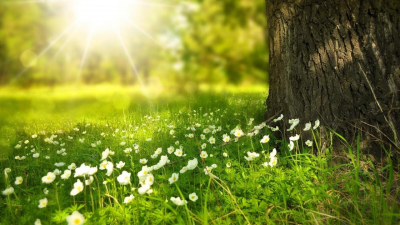 Какая погода ожидается в мегаполисах Казахстана на 9 мая