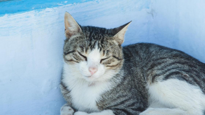 "Забежала к нам в кабинет": врачи больницы в Алматы приняли роды у необычной пациентки