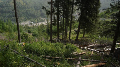 Десятки спасателей уже вторые сутки ищут пропавшего в горах Алматы туриста