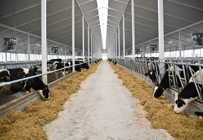 LTE everywhere: как мобильный интернет меняет жизнь села