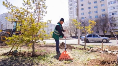 Масштабное озеленение: активная посадка деревьев ведется в Астане