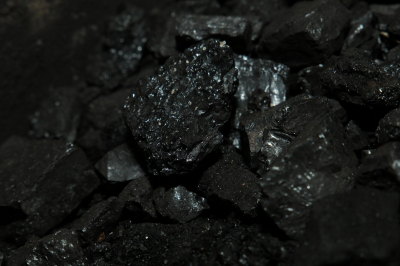 Перспектива на века