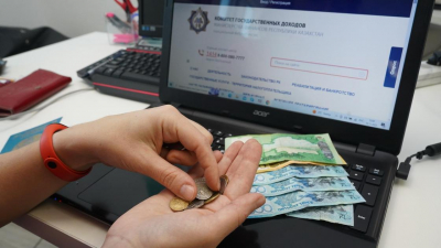 Осталось три дня: что нужно знать о всеобщем декларировании казахстанцам