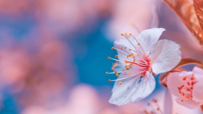 Дожди, заморозки и постепенное потепление: какой будет погода в апреле в Казахстане