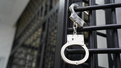 Сына Даулета Турлыханова приговорили к аресту на 15 суток