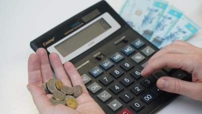 Как будет проходить процедура восстановления платежеспособности в Казахстане