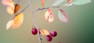 Какой будет погода в Казахстане в ближайшие три дня, рассказали в Казгидромете