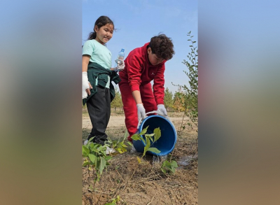 В Алматы школьники высадили три тысячи карагачей в парке &laquo;Сосновый бор&raquo;