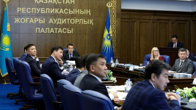 Застойное поведение