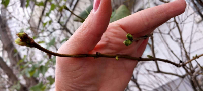 Неожиданное пробуждение