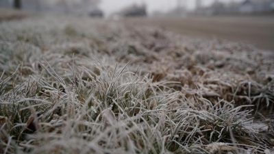 Резкое похолодание и осадки пообещали синоптики в Казахстане