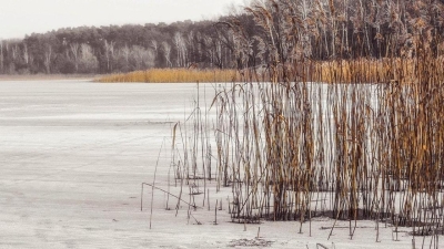 Река Сырдарья размыла трассу под Кызылордой