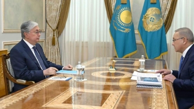 Аким Жетысуской области доложил Токаеву о возврате неиспользуемых земель
