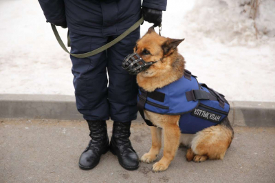 Скотч плюс гаджет &ndash; плохая примета