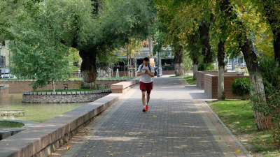 "Взял на контроль каждое дерево": Досаев ответил на жалобы на падающие деревья в Алматы