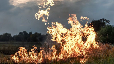 В Греции обнаружили тела 18 человек в районе крупного лесного пожара