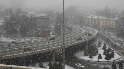Непогода обрушилась на север и восток Казахстана: повалены деревья, сорваны крыши (видео)