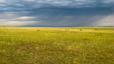Чиновник в ЗКО приговорен к лишению свободы за незаконные сделки с землей