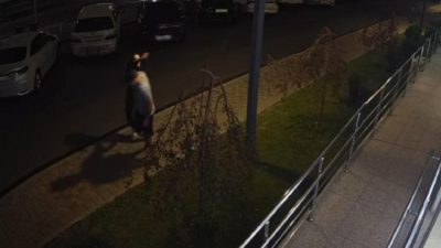 Даулет Турлыханов прокомментировал видео со своим сыном, которого обвиняют в избиении девушки