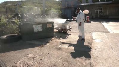 Режим ЧС объявили в Пуэрто-Рико из-за лихорадки денге