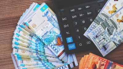 "Это средства будущих поколений. Должны использовать их только в кризис": Токаев о Нацфонде