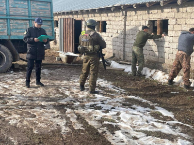 Через туннель на казахско-узбекской границе провозили контрабандный ГСМ