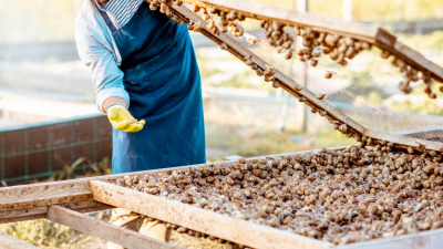 Итальянская компания вложит 2 млн евро в производство улиток в Казахстане