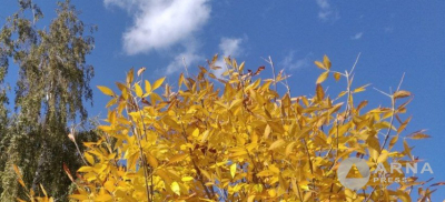 До +25 прогнозируют синоптики в некоторых регионах Казахстана в ближайшие дни