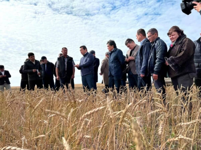 Новый глава Минсельхоза посетил область с самым низким показателем урожая