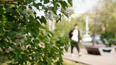 Выше 20 градусов тепла обещают синоптики в Астане, Алматы и Шымкенте