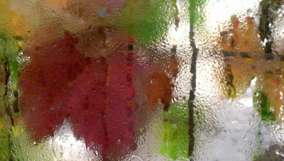 Дождь ожидается в воскресенье в Астане и Алматы, в Шымкенте без осадков