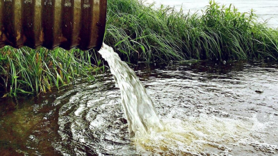 "Это же не жизнь": дачники Каскелена заявили, что их намеренно лишили доступа к воде (видео)