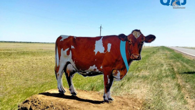 Муляжи животных появились вдоль крупных автотрасс в Казахстане (фото)