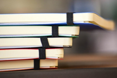 Гранты и стипендии ноября