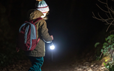 Фонари поставили, но они не горят