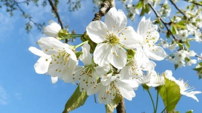 До 23 градусов тепла ожидается в казахстанских мегаполисах