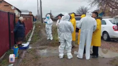 Сибирскую язву выявили в Карагандинской области