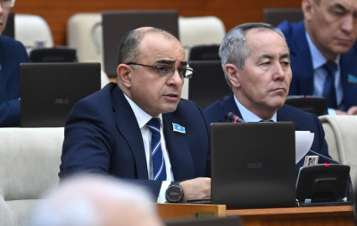 Работу полиции в борьбе с интернет-мошенниками раскритиковал депутат