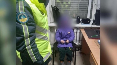 8-летнюю девочку нашли полицейские на безлюдной трассе в Павлодарской области