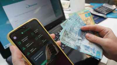 Сколько казахстанцев за свой счет платят взносы на ОСМС