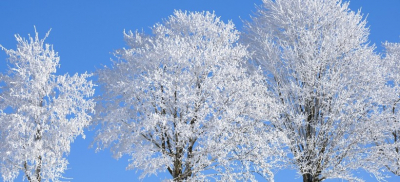 Штормовое предупреждение из-за сильных морозов объявлено в ряде регионов РК