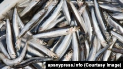 США ужесточили запрет на импорт российских рыбы и морепродуктов