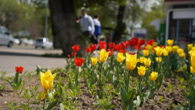 Какой будет погода в июне в Казахстане, рассказали синоптики