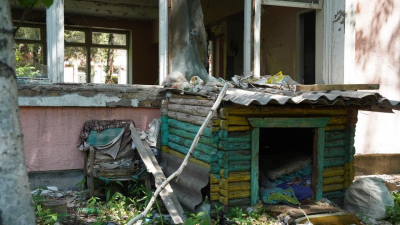 Скелеты, "закладки", стаи собак: заброшенное здание возле аэропорта возмутило алматинцев (фото)