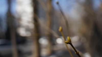 Погода без осадков ожидается в воскресенье во всех мегаполисах Казахстана