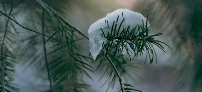 Метели, дождь и снег: штормовое предупреждение объявили в ряде регионов Казахстана