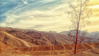 Гроза, усиление ветра и высокая пожарная опасность ожидаются в Казахстане