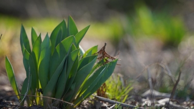 До +25 градусов ожидается в одном из мегаполисов Казахстана в среду