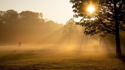 Лишь в шести областях Казахстана в четверг не будет ни ветра, ни тумана